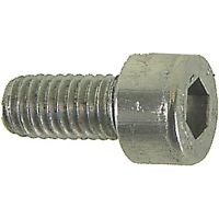Bofix Allen screw (M5x10 | silver)